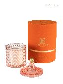classic_cactus-460-1