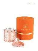 classic_cactus-250-1