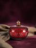 glass-120_mardi2