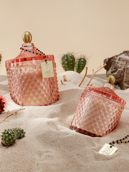 classic_cactus-460-2